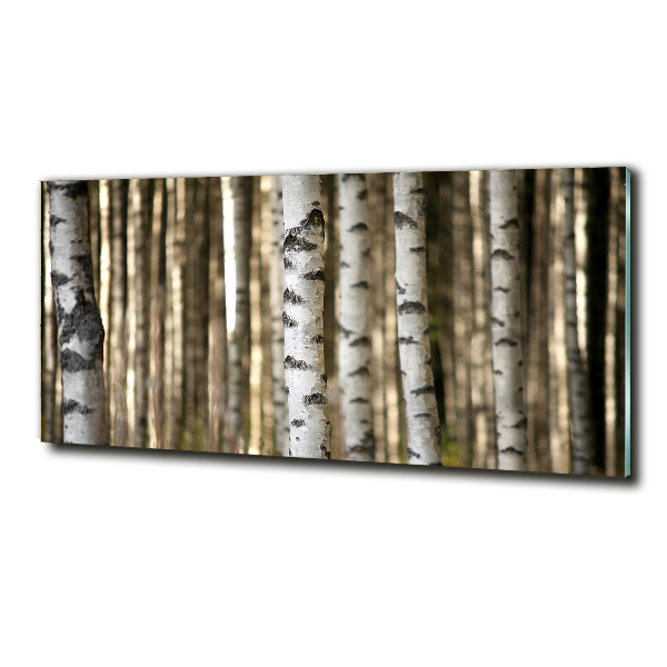 Bild auf glas Birken