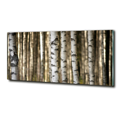 Bild auf glas Birken