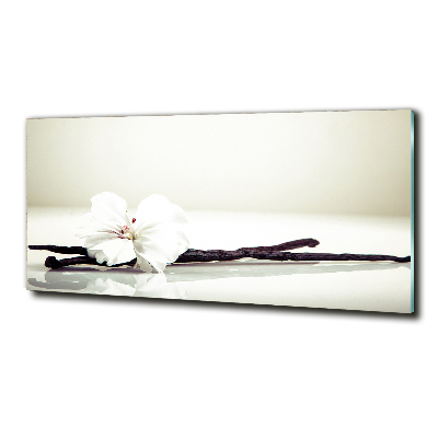 Glasbild Vanilleschote