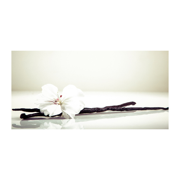 Glasbild Vanilleschote