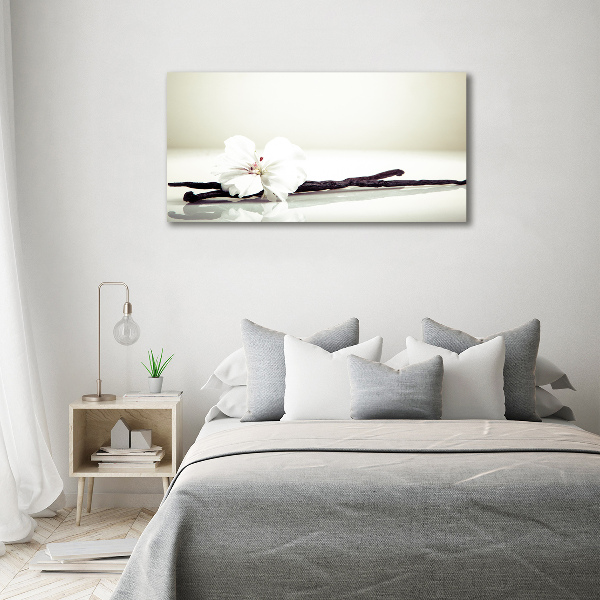 Glasbild Vanilleschote