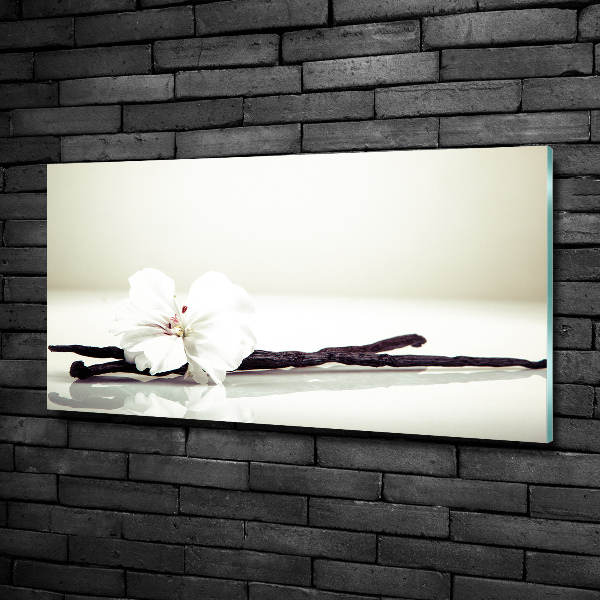 Glasbild Vanilleschote