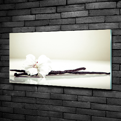 Glasbild Vanilleschote