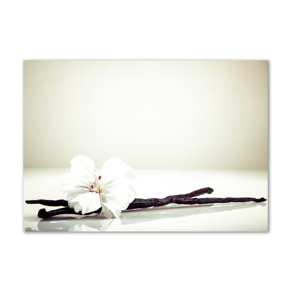 Glasbild Vanilleschote