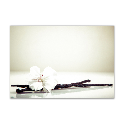 Glasbild Vanilleschote