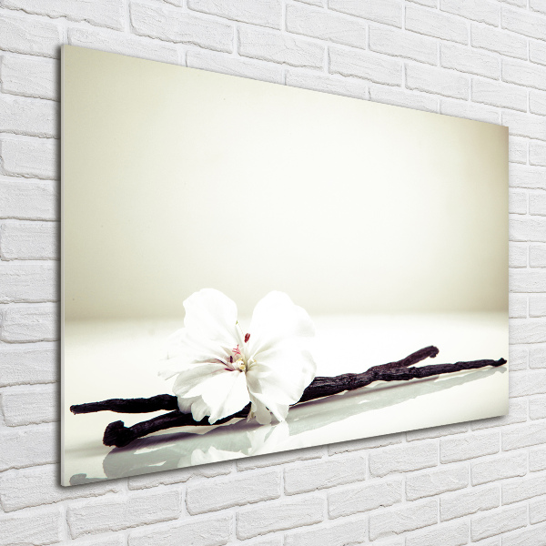 Glasbild Vanilleschote