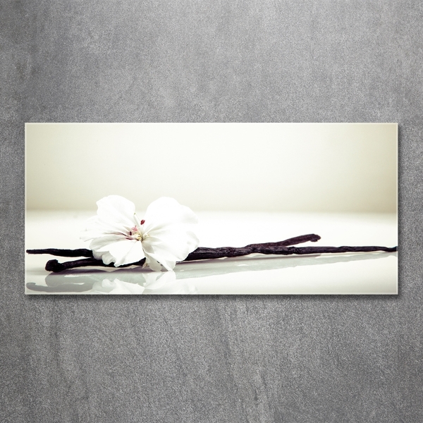 Glasbild Vanilleschote