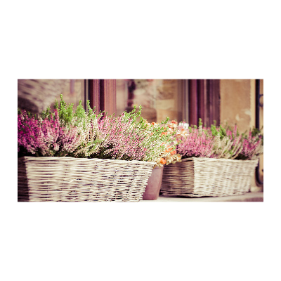 Glasbild Lavendel im Topf