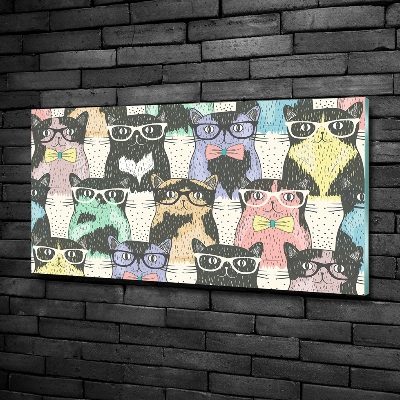 Glasbild Katzen mit Brille