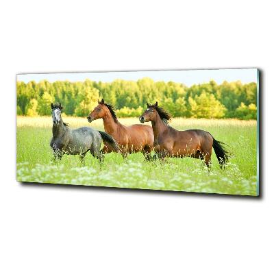 Foto glasbild Pferde im Galopp