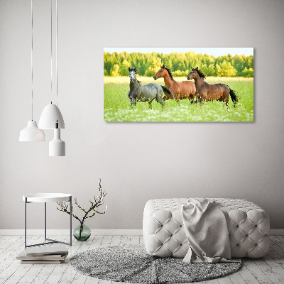Foto glasbild Pferde im Galopp