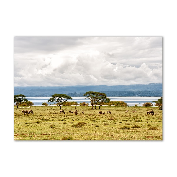 Foto glasbild Naivasha-See