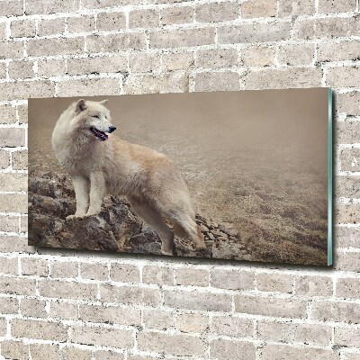 Foto glasbild Weißer Wolf auf einem Felsen