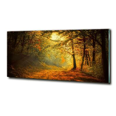 Glasbild Wald im Herbst