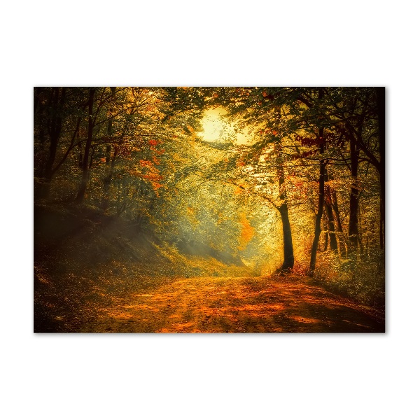 Glasbild Wald im Herbst