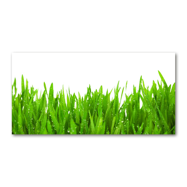 Glasbild Gras