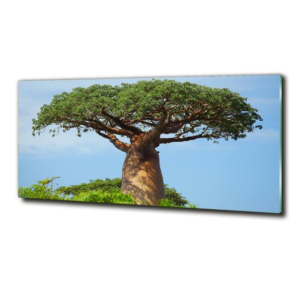 Foto glasbild Baobab