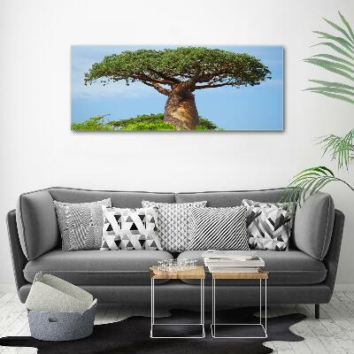 Foto glasbild Baobab