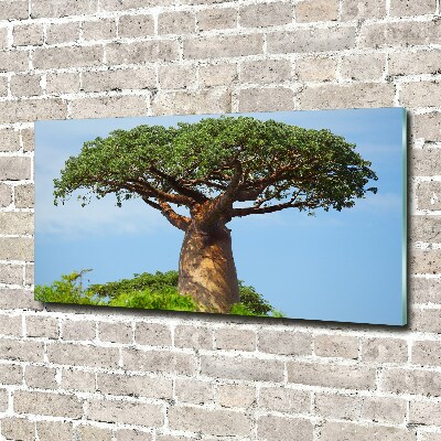 Foto glasbild Baobab