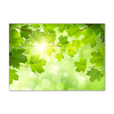 Bild auf glas Rosskastanienblätter