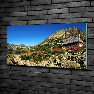 Foto glasbild Schäferhütte im Tal