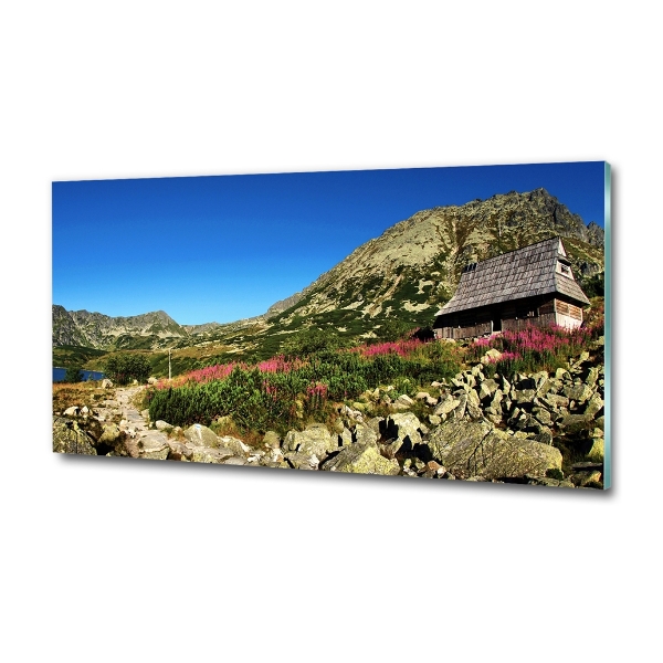 Foto glasbild Schäferhütte im Tal