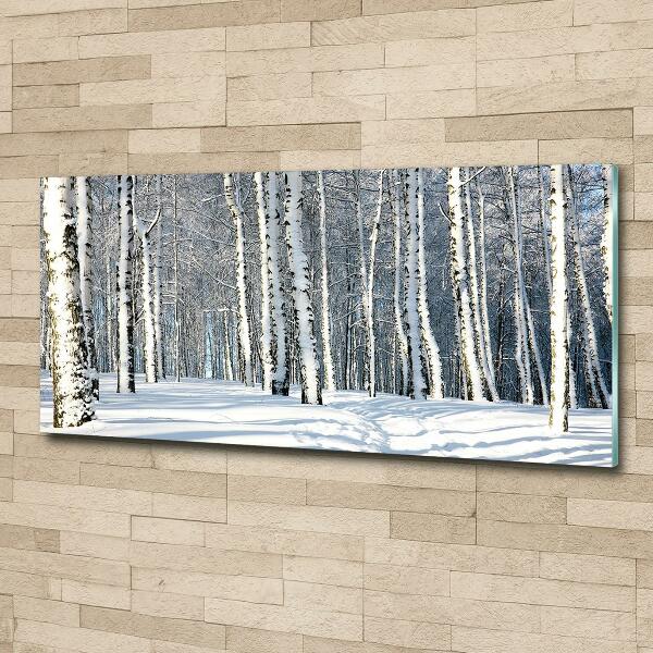 Glasbild Wald im Winter