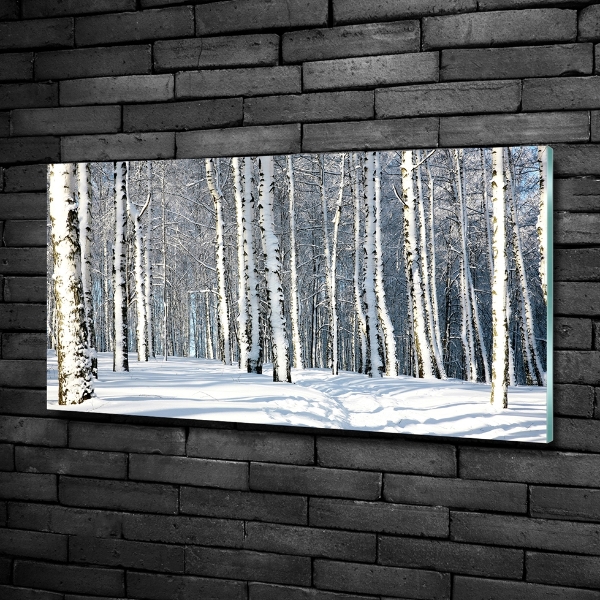 Glasbild Wald im Winter