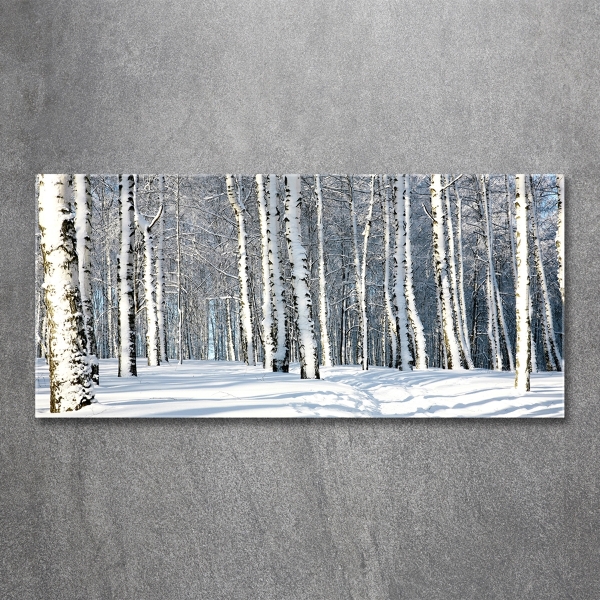 Glasbild Wald im Winter