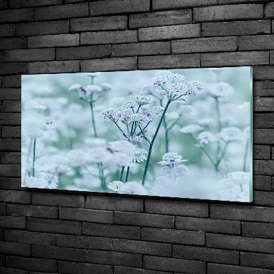 Foto glasbild Großer Mantelkraut