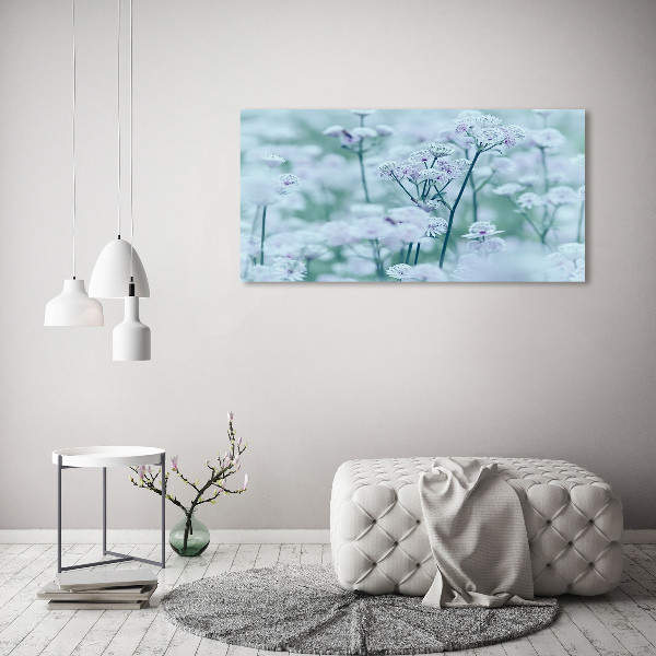 Foto glasbild Großer Mantelkraut