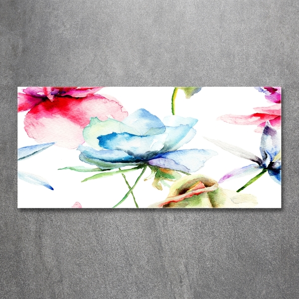 Bild auf glas Mohnblumen