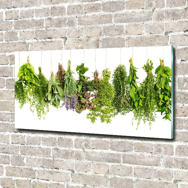 Foto glasbild Kräuter an einer Schnur