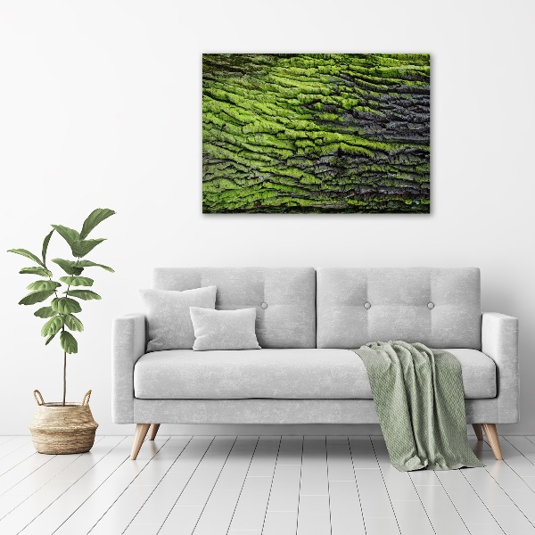 Foto glasbild Baumrinde