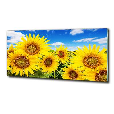 Glasbild Sonnenblumen
