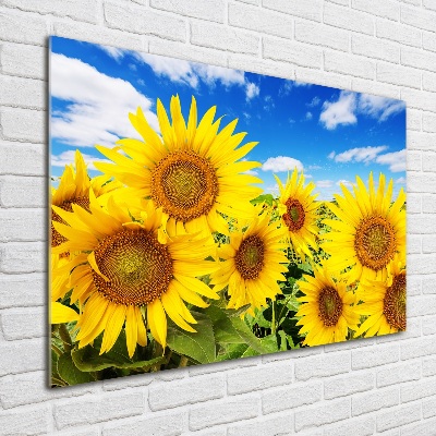 Glasbild Sonnenblumen