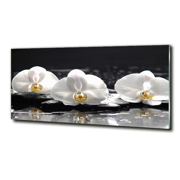 Foto glasbild Orchidee