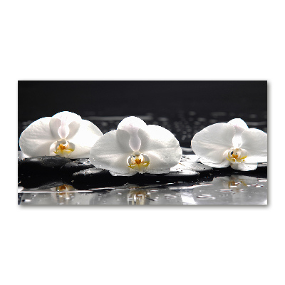 Foto glasbild Orchidee