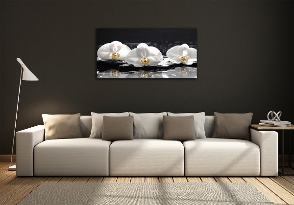 Foto glasbild Orchidee