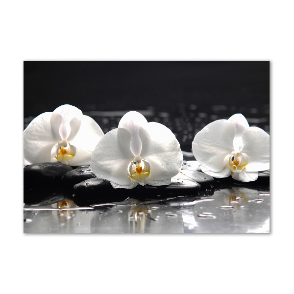 Foto glasbild Orchidee