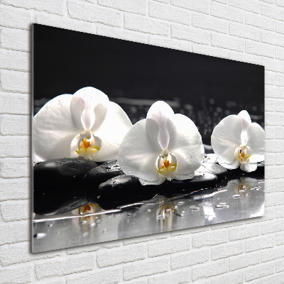 Foto glasbild Orchidee