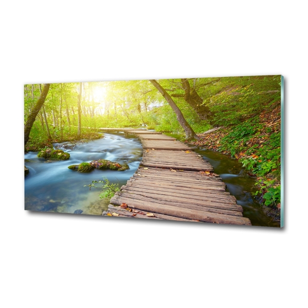 Bild auf glas Pfad im Wald