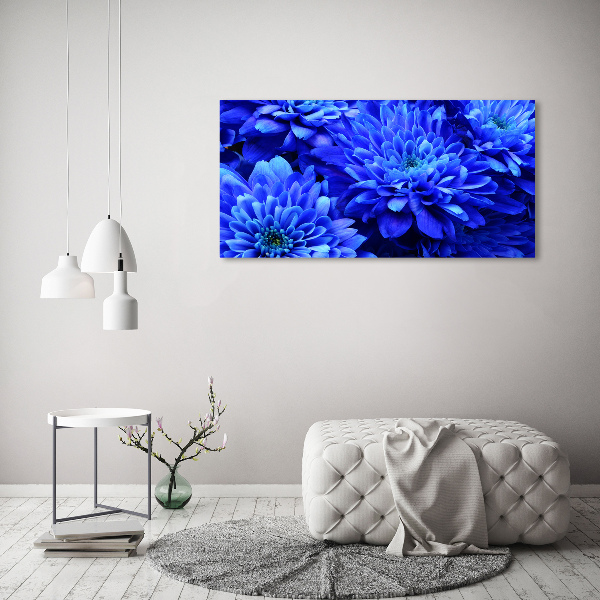 Bild auf glas Blaue Aster