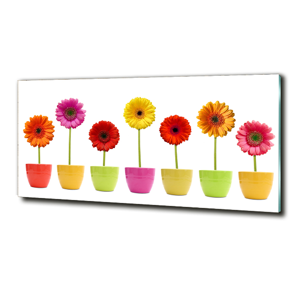 Glasbild Bunte Gerbera