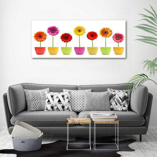 Glasbild Bunte Gerbera