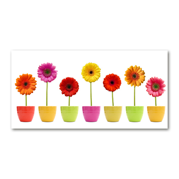 Glasbild Bunte Gerbera