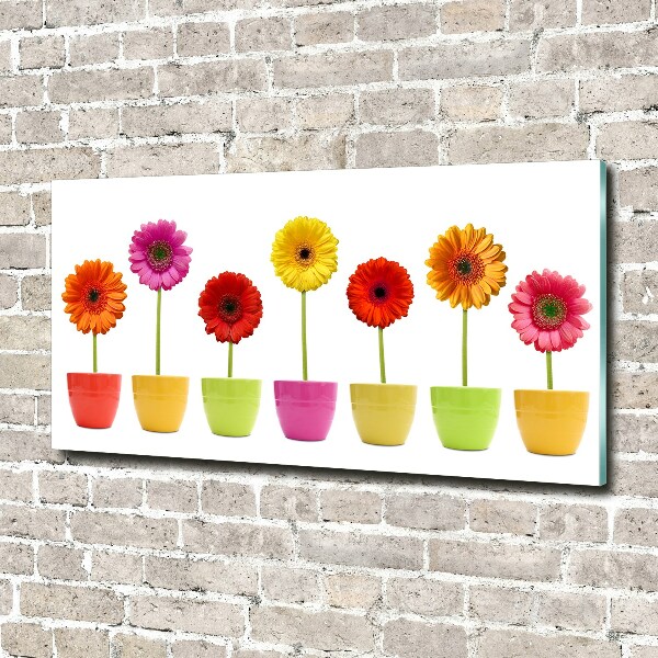 Glasbild Bunte Gerbera