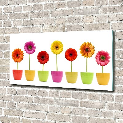 Glasbild Bunte Gerbera