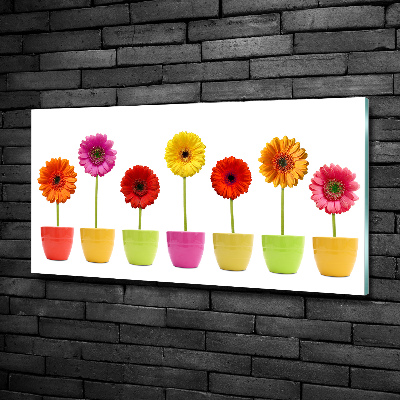 Glasbild Bunte Gerbera