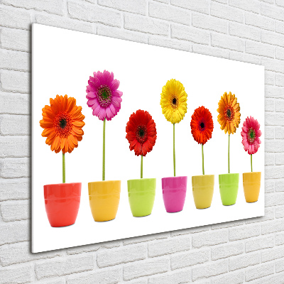 Glasbild Bunte Gerbera